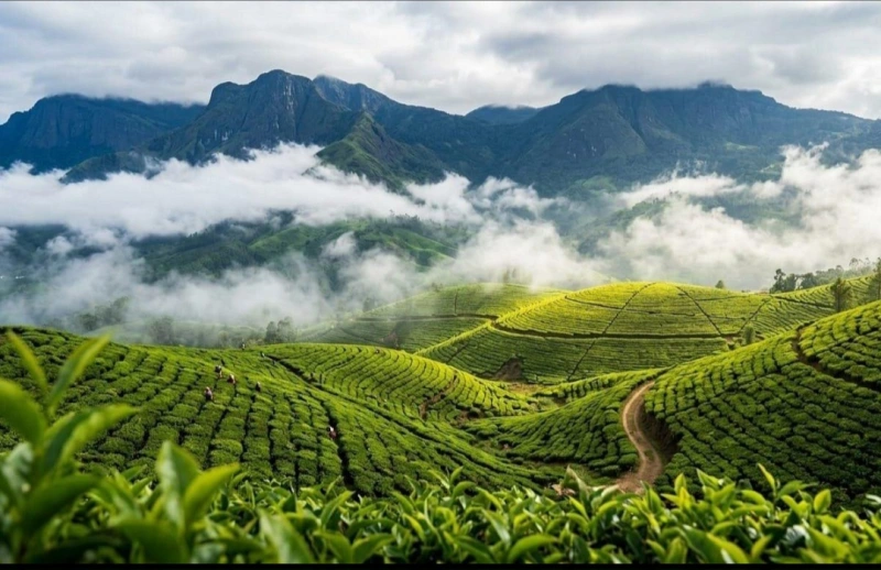 Sri Lanka Wonders
