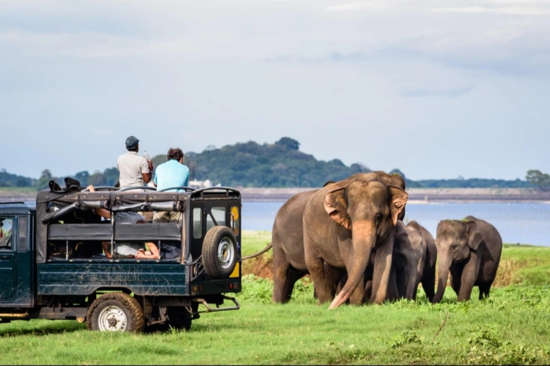 Sri Lanka Grand Discovery