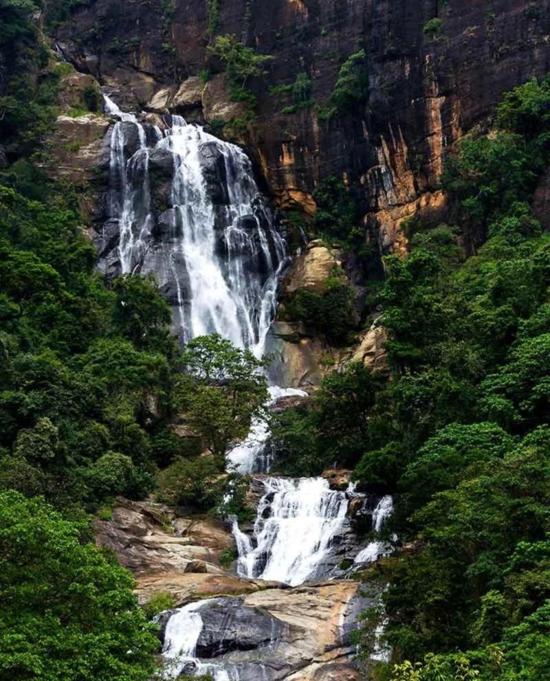 Sri Lanka Grand Discovery
