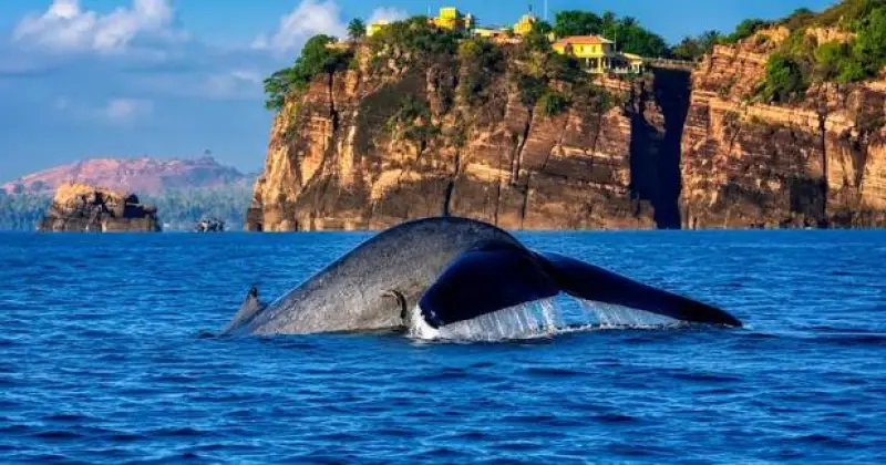Colombo to Trincomalee
