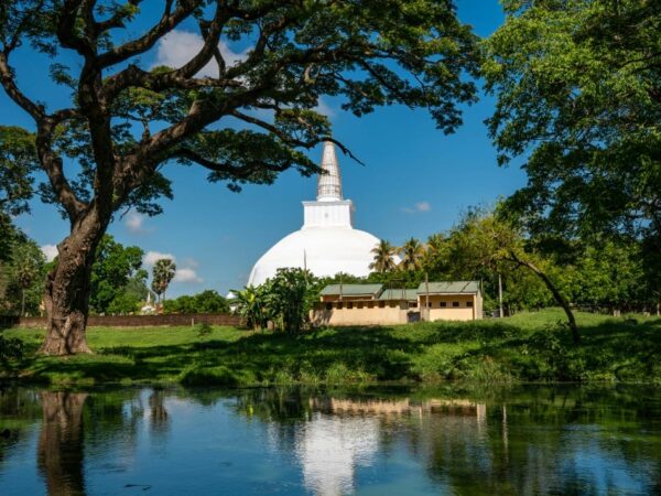Anuradhapura Aircraft Tour