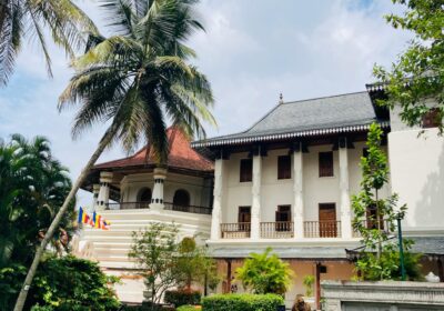 Cultural and Heritage Tours