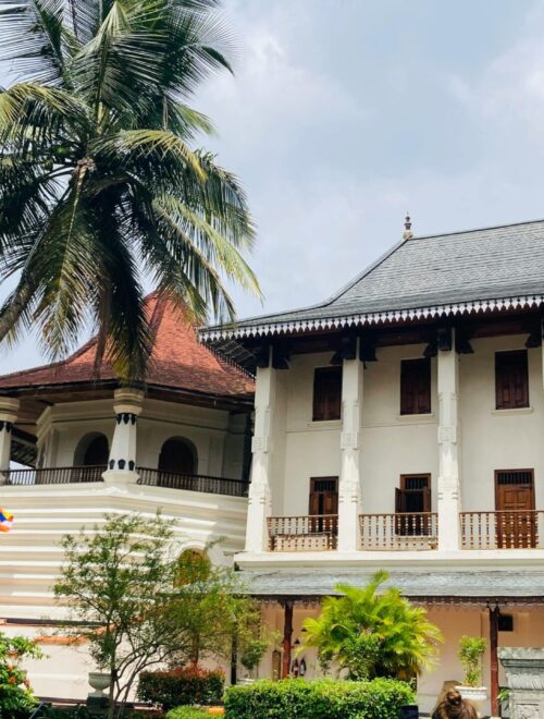 Cultural and Heritage Tours
