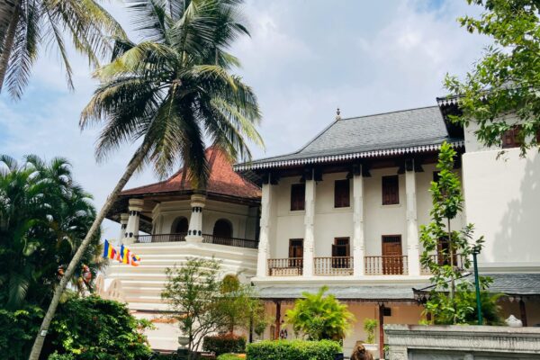 Cultural and Heritage Tours